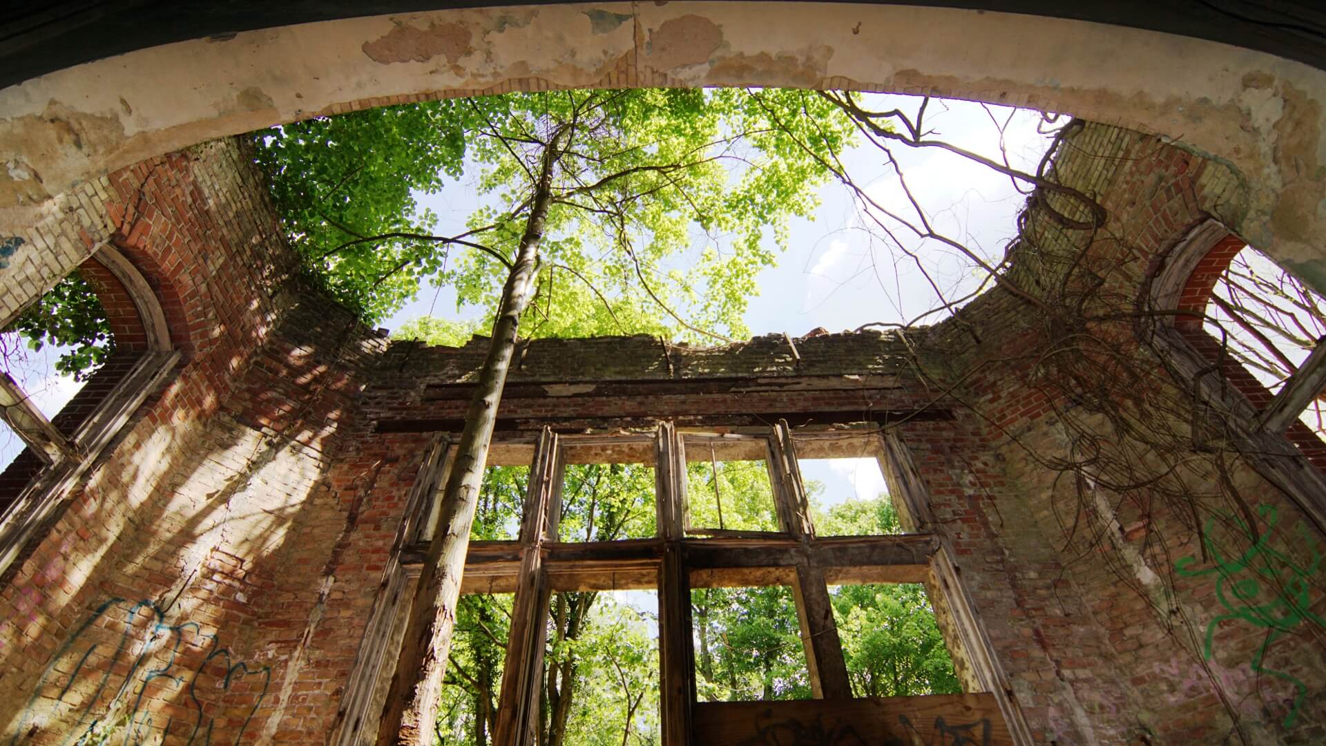 Beelitz Heilstätten Innenansicht Ruine © Baum und Zeit
